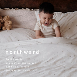 Northward Pure Cotton Four-Piece Set, All-Cotton Bed Sheet, Duvet Cover, Pillowcase, Adult Bedding Set, Home Use, Student Dormitory