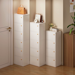 Shoe Cabinet, Small and Narrow, for Home Use, Indoor Storage Cabinet, Integrated Against the Wall, 2026 New Model, Simple Dust-Proof Shoe Rack for Exterior Corridors