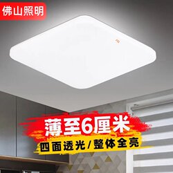 Foshan Lighting Square Led Ceiling Light Square Bedroom Light Dining Room Living Room Light Balcony Corridor Light All White Light