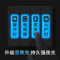Luminous Switch Stickers for Distribution Boxes, Luminous Material with Adhesive Backing, Blank Writable Waterproof Stickers, Light Switch Identification Stickers, Marking Stickers