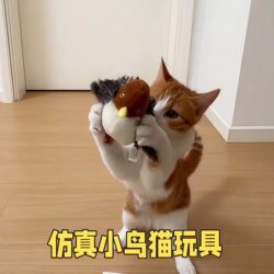 Simulated Bird Cat Toy, Self-Entertainment and Boredom-Relief Gadget, Energy-Consuming Pet Cat Hunting Teaser Wand That Can Fly and Make Sounds