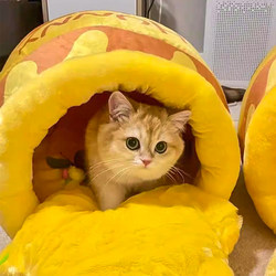 Cat House, Winter Warm Cat Shelter, Enclosed Cat Villa, Cat Supplies, Honeycomb Nest, Trendy Kitten Pet Supplies