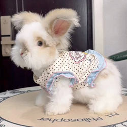Little Rabbit Clothes Spring and Summer New Style Angora Rabbit Lop-Eared Rabbit Cartoon Vest Anti-Shedding Pet Dress with Leash Attachment