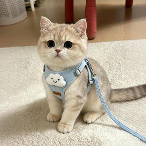 猫咪牵引绳胸背夏季防挣脱可爱舒适不勒脖小型犬外出牵引绳背心式