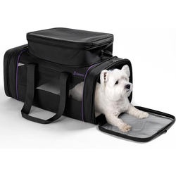 Airline Cat Carrier Is Portable for Traveling on Airplanes and Can Be Used in the Cabin to Carry Cats and Pets. It Is a Cat Cage and Airline Crate for Carrying Cats When Traveling