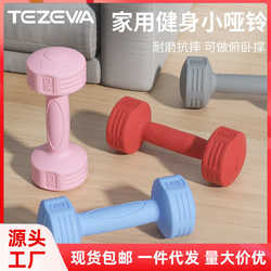Dumbbells Women's Fitness Home Equipment Kettlebell Children's Elementary School Men's Arm Practicing Yoga Small Dumbbell Set Combination