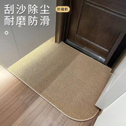 Thickened Non-Slip and Stain-Resistant Entrance Door Mat for Home Use, High-End Feel, Customizable, Anti-Cat Scratch Soft Mat, Rectangular Carpet