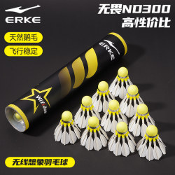 Hongxing Erke Wireless Imagine Badminton Genuine 2025 New Model Indoor and Outdoor Beginner Competition Training Stable Flight