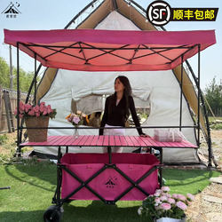 Camping Cart, Small Push Cart with Adjustable Height, Foldable and Mobile, Suitable for Night Market Stalls, Hand-Pushed Cart, Small Cart