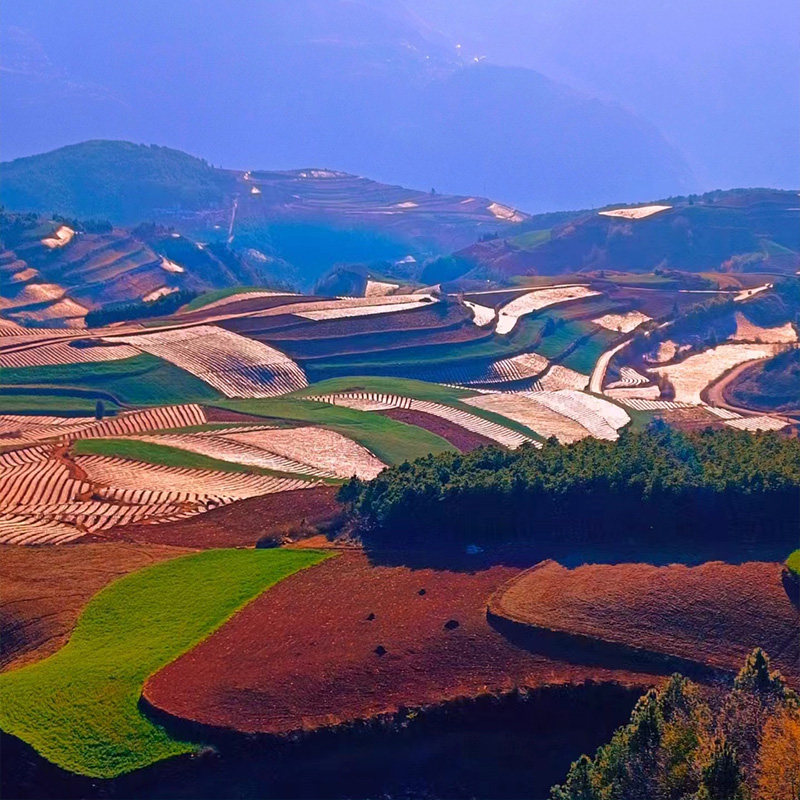 纯玩0购物| 云南8天全景旅游 | 普者黑-石屏-蒙自-建水-元阳-弥勒