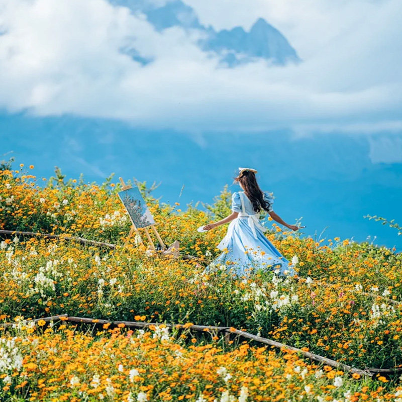 云南纯玩旅游6天5晚昆明大理丽江石林洱海旅拍古城全国可出发