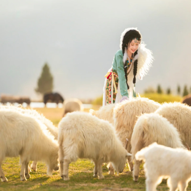 纯玩0购物 云南丽江大理梅里雪山旅游6天洱海飞来寺日照金山双廊