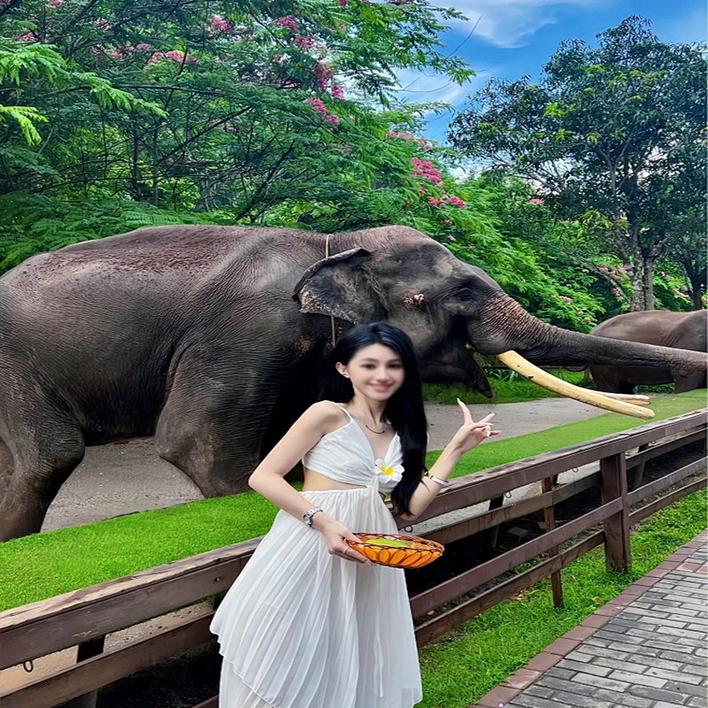 5天4晚纯玩游|私家团|云南西双版纳旅游野象谷原始森林雨林徒步