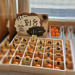 Kindergarten Environment Creation Sign-In Station, Ping Pong Storage Box, Grid Box, Grid Storage Rack, Classroom Decoration Materials