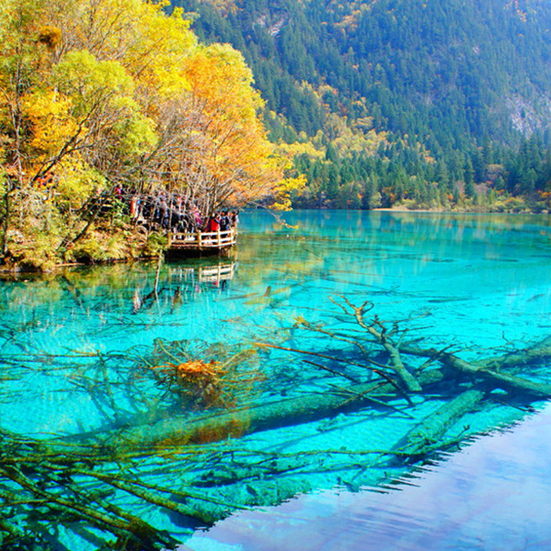 四川成都出发九寨沟黄龙熊都江堰山峨眉山旅游纯玩5天4晚跟团游