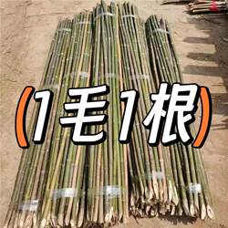 Small Bamboo Poles for Garden Trellises, Bamboo Supports for Beans and Cucumbers, Bamboo Poles for Climbing Vegetables, Bamboo Fences, Colorful Flag Poles