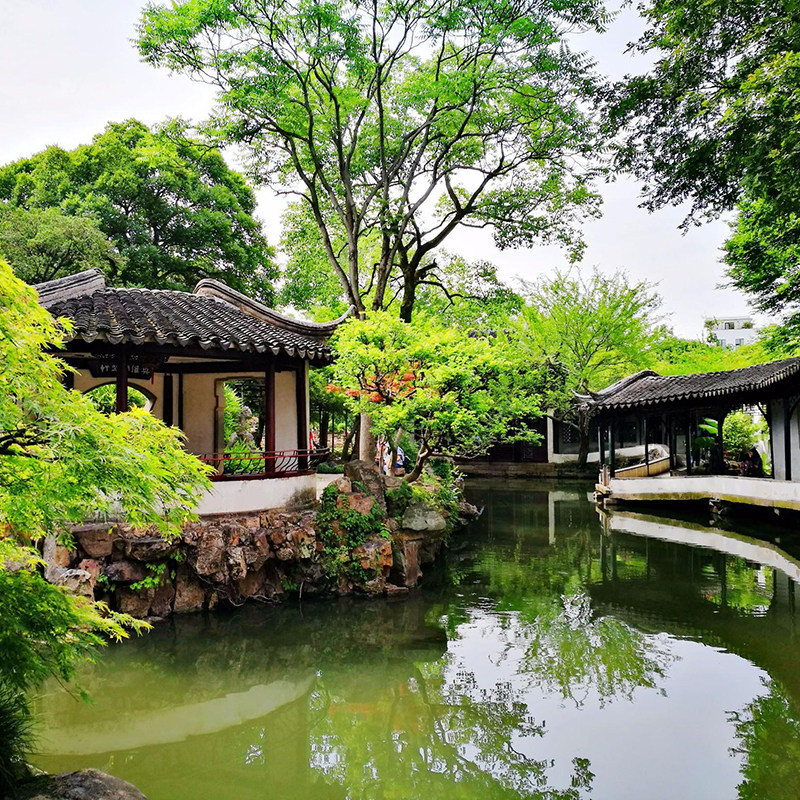 苏州拙政园 寒山寺 山塘街一日游 可选狮子林 纯玩讲解跟团1日