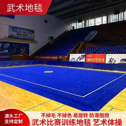 Martial Arts Carpet Dance Opera Artistic Gymnastics Mat Martial Arts Routine Competition Training Special Floor Mat Cheerleading Roll Mat
