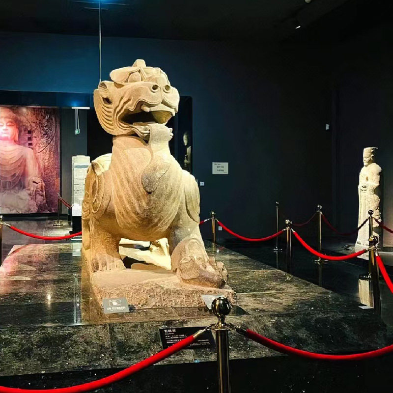 河南洛阳博物馆 含门票/天子驾六馆一日游约深度精品讲解2小时