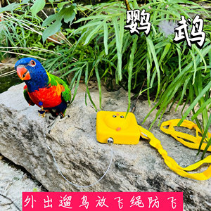 Parrot flying rope does not hurt the feet super light training rope tiger skin Xuanfeng Aki 八 八 chain rope flying rope