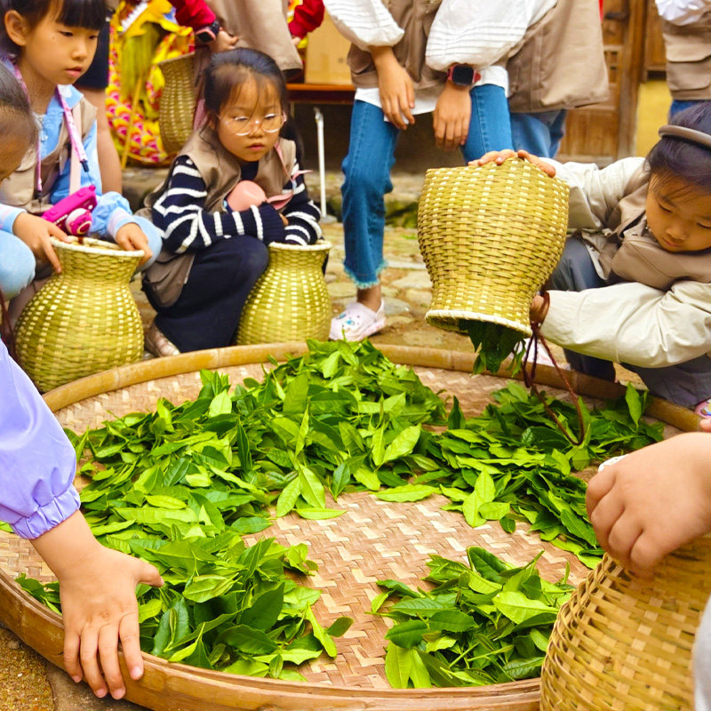 福建南靖土楼欢乐谷一日游【2-8人暑期亲子游体验+古法采茶】