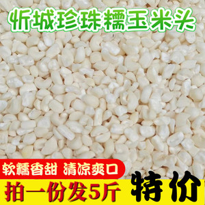 Guangxi Xincheng pearl glutinous corn head corn cricket white glutinous corn glutinous corn crusher grain grains and grains 5*0.5kg