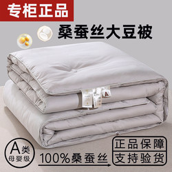 Authentic Handmade Mulberry Silk Quilt, Thickened Winter Quilt, 5kg All-Cotton Soybean Fiber Spring and Autumn Quilt Core, Mother-Child Quilt, Summer Quilt