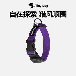 Alloydog Dog Collar Set for Small and Large Dogs, Neck Collar and Leash Set for Outdoor Dog Walking