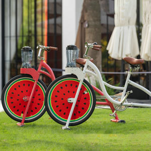 
EXI Juicer Bike Balance Blender Smoothie Orange Juice Blender Juicer Adult Pedal Bike