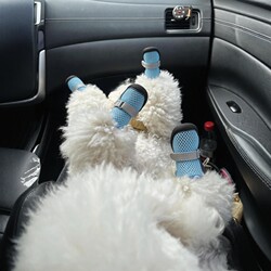 Dog Shoes, Puppy Shoes, Soft Soles, Non-Slip, Breathable for Summer, Small Dogs, Bichon Pet Shoes, Dog Walking Booties, Anti-Slip