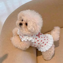 Dog Clothes for Bichon Frise Small Dogs 2026 New Thin Pet Vest Suspender Princess Dress Cat Clothes Anti-Shedding