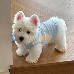 Dog Clothes, Thin Summer Cool Pet Vests for Small Dogs, Bichon Frise, Corgi, Small and Medium-Sized Dogs, Cat Clothes, Sun Protection