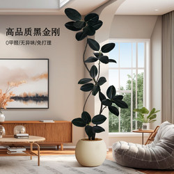 Simulated Green Plant Black Diamond High-End Light Luxury Indoor Large Floor-Standing Potted Rubber Tree Artificial Decorative Fake Tree Ornament