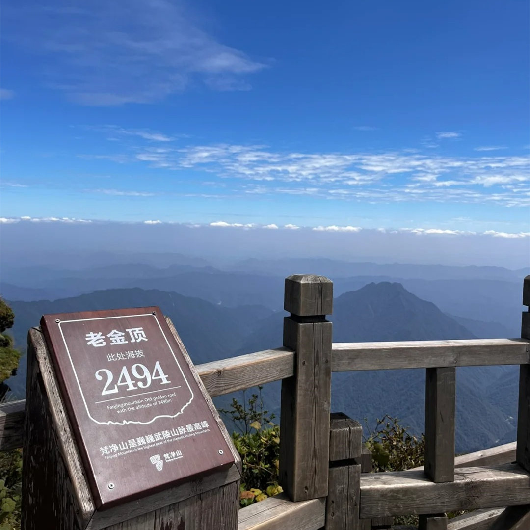 贵州旅游梵净山纯玩一日游普度广场蘑菇石红云新金顶贵阳出发