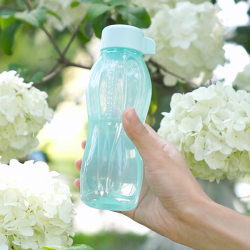Qian Zhibo Water Cup 310ml New Eco Bottle Environmentally Friendly Bottle Male and Female Students Portable Leak-proof Water Cup Sports Water Bottle