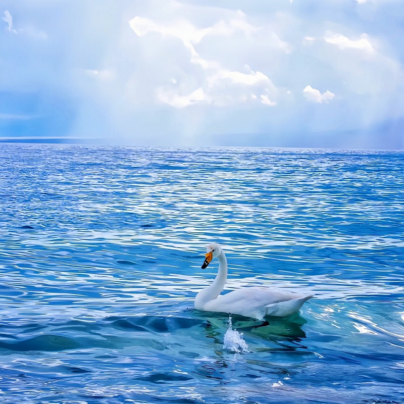 伊犁6人纯玩10日【那拉提赛里木湖独库】露营旅拍一价全含住好玩