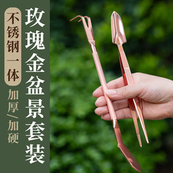 Bonsai Small Rake Flower Pot Soil Loosening Tool Stainless Steel Two-Pronged Succulent Tweezers Potted Plant Shovel Special Tool for Gardening