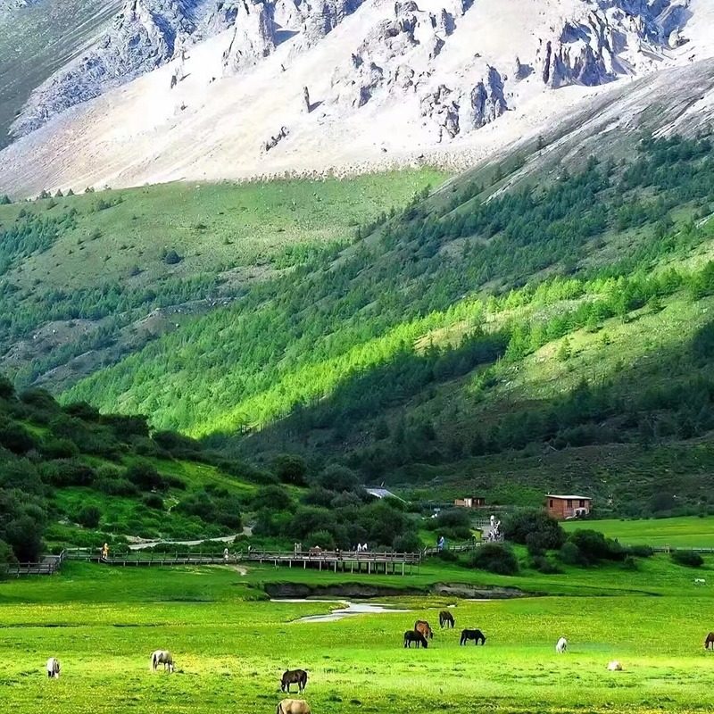 含机票 川西旅游大环线稻城亚丁四姑娘山墨石鱼子西7日6晚8人小团