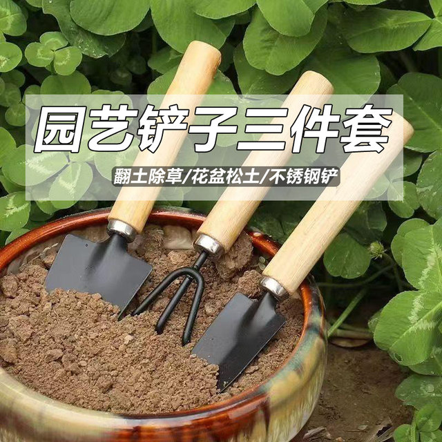 Flower planting tools household set for growing vegetables, flowers and flowers, succulent shovel, soil rake, shovel, gardening shovel, three pieces