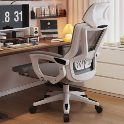 Computer Chair, Ergonomic Chair, Comfortable Chair for Long Sitting, Backrest Chair, Dormitory College Student Desk Chair, Home Gaming Chair