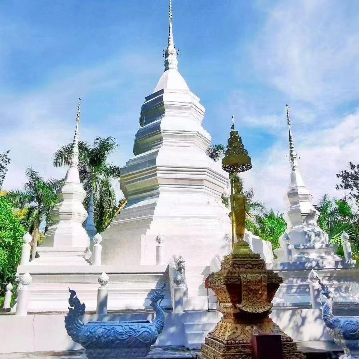 【荟游版纳-15人小团】云南西双版纳5天4晚 暑假不涨价 提前预定