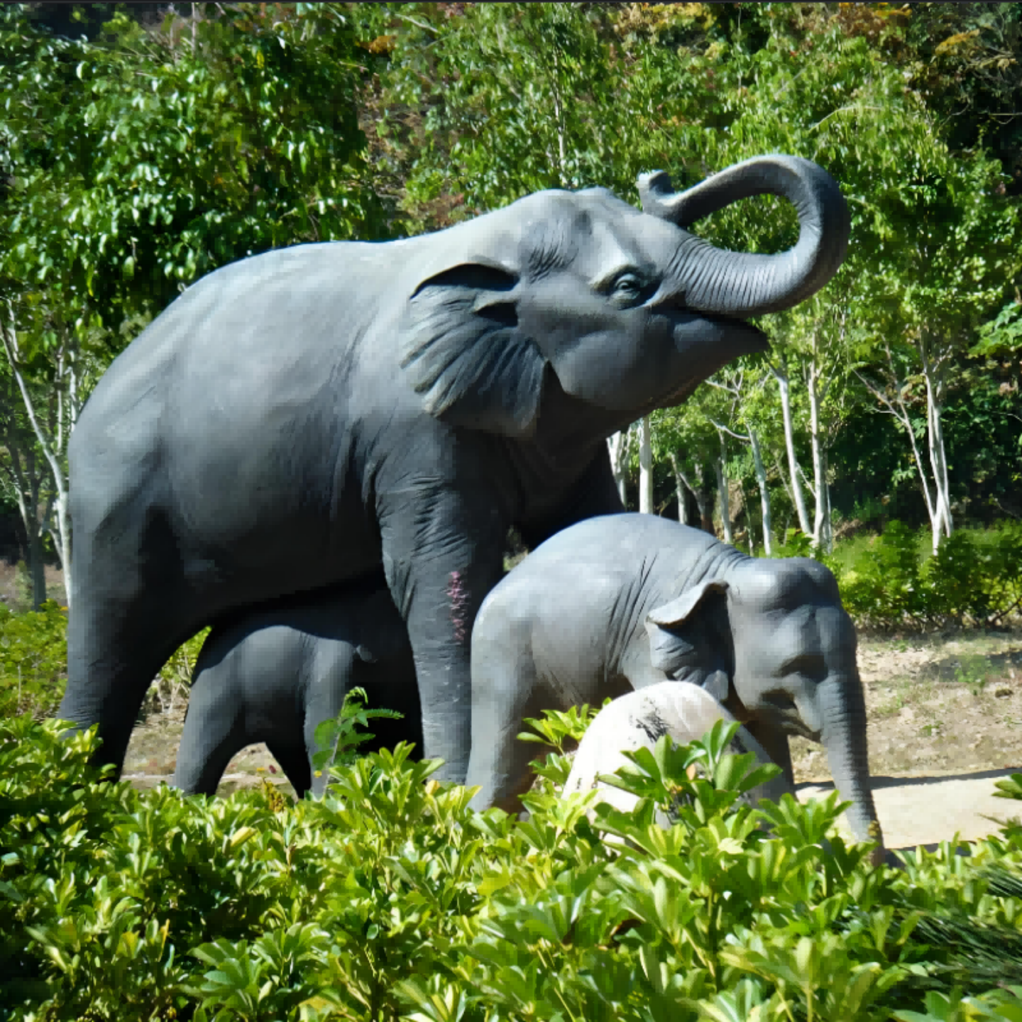 海景度假2-15人云南昆明大理丽江泸沽湖香格里拉10天9晚 纯玩游