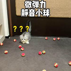 
Cat Silent Bouncy Ball Toy Kitten Resistant to Grinding Teeth Funny Cat Stick Self-Happiness and Boredom Relief Artifact Dog Pet Supplies