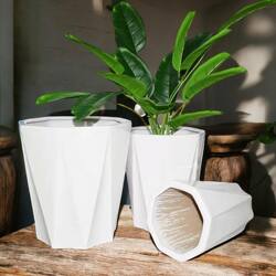 Modern, Simple and Versatile Ceramic Large Flowerpot for Home Living Room, Light Luxury, Tree and Green Plant, Universal