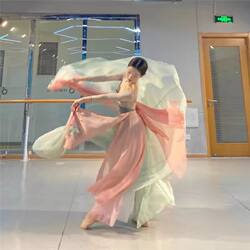 Ballet Leotard Performance Practice Outfit with Flowing Skirt, Dance Practice Clothes, Yoga Women's Classical Top