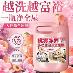 All-Purpose Cleaning Agent for House-Wide Cleaning, Powerful Stain Remover for Household Cleaning, Specialized Home Foam Cleaner