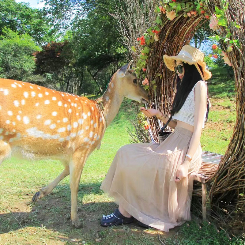 神农架旅游3日游 神农架大九湖神农顶官门山天生桥神农坛纯玩三日