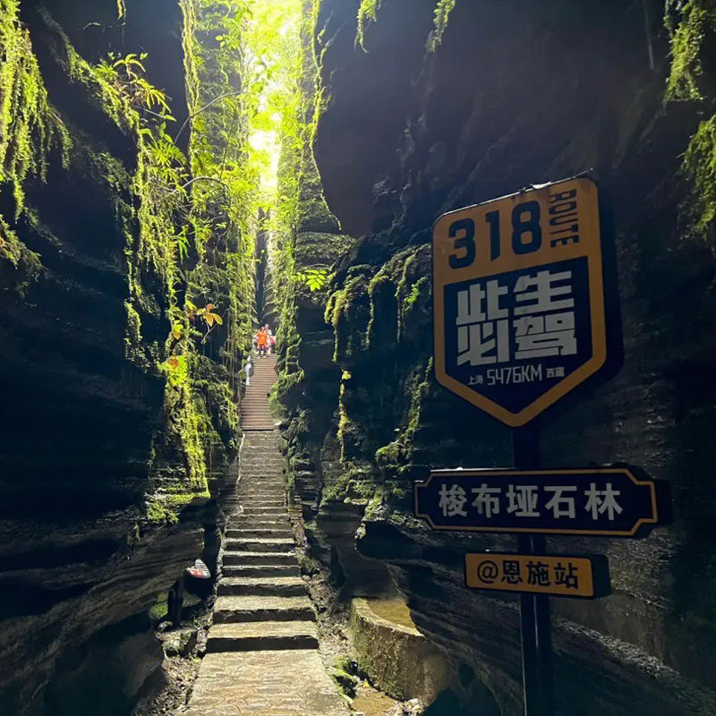 恩施旅游一日游 恩施梭布垭石林纯玩跟团1日游30/16/8人团任选