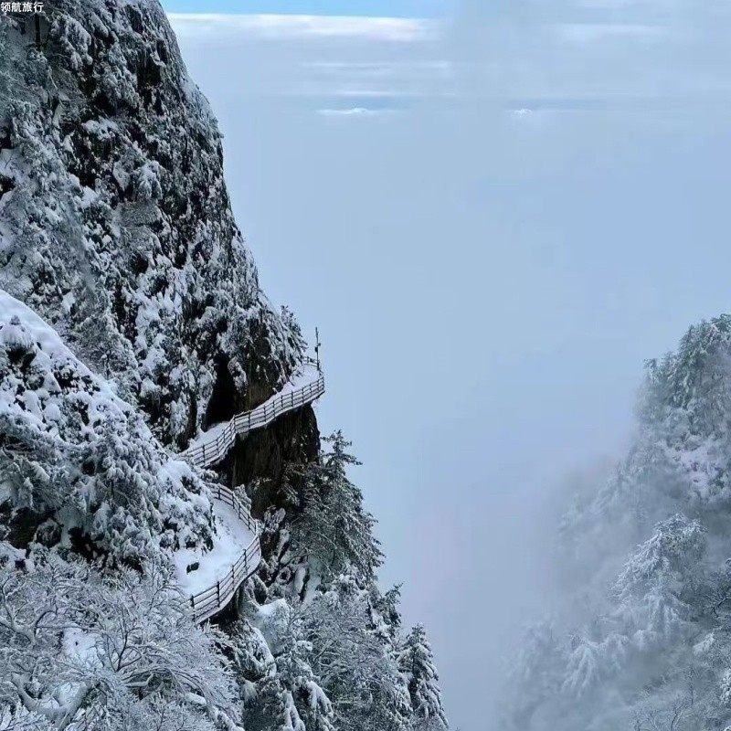 老君山-金顶道观群-十里画屏1日游|直达索道口|郑州起始