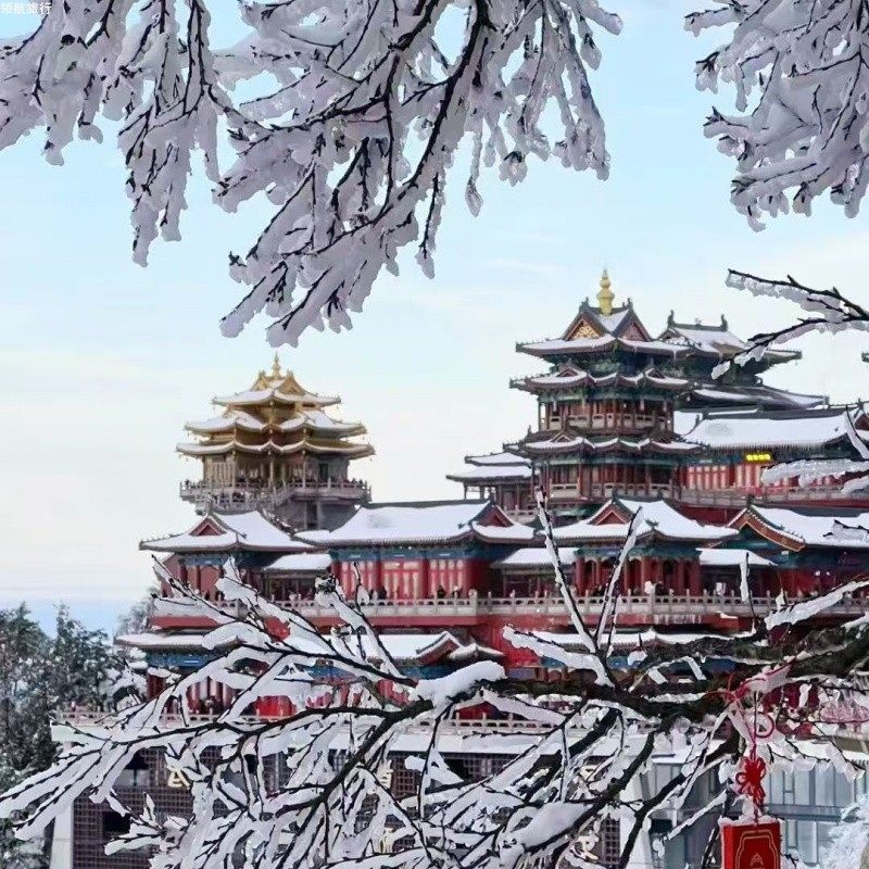 老君山-金顶道观群-十里画屏1日游|直达索道口|郑州起始